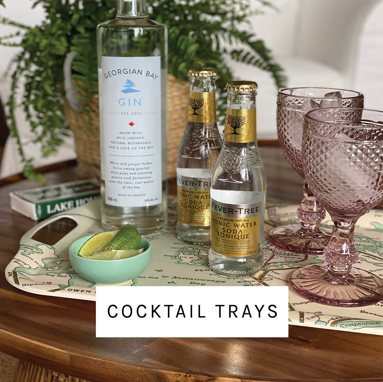 Map Cocktail Tray Collection