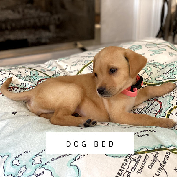 Map Dog Bed Collection