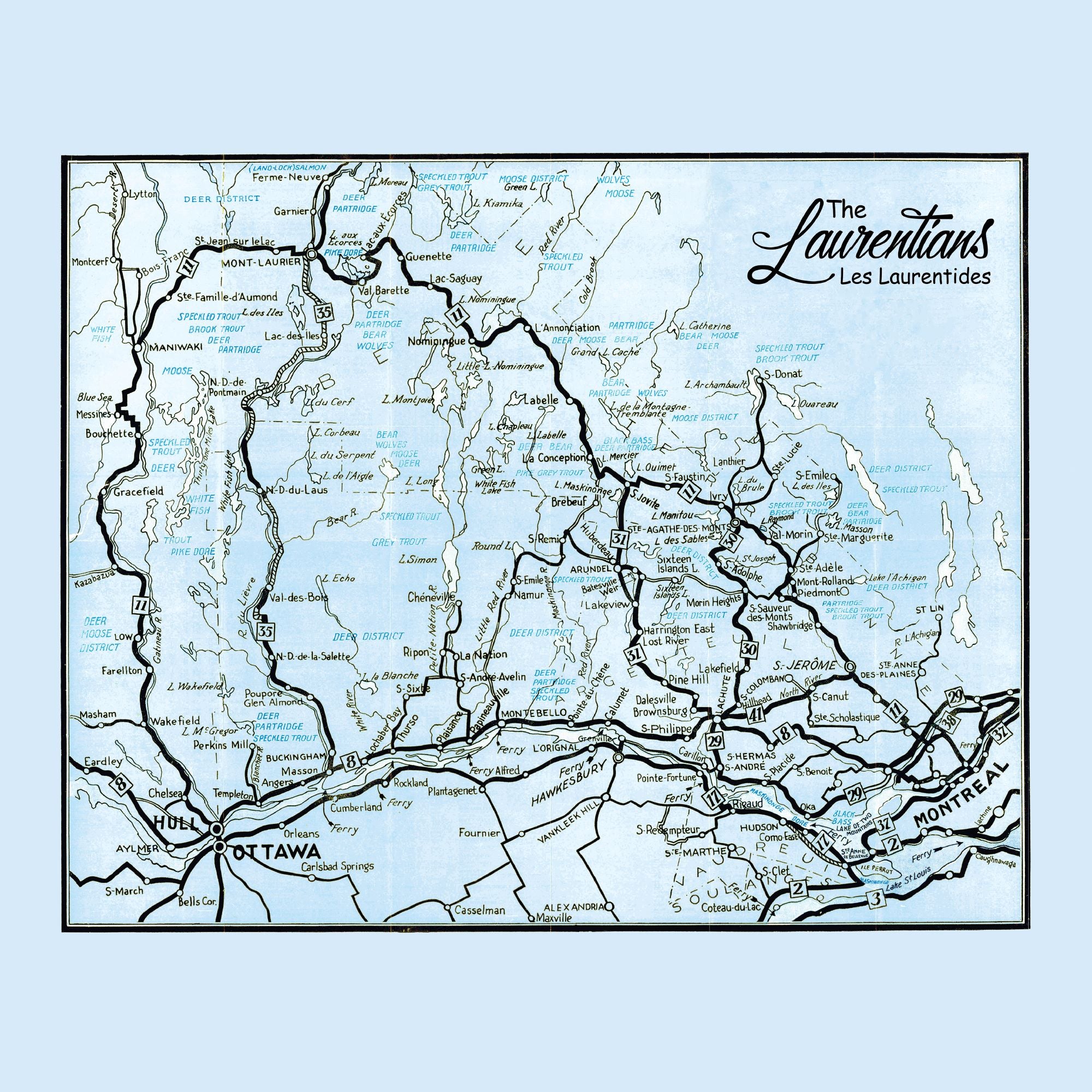 The Laurentians Map Dinner Napkin - set of 4