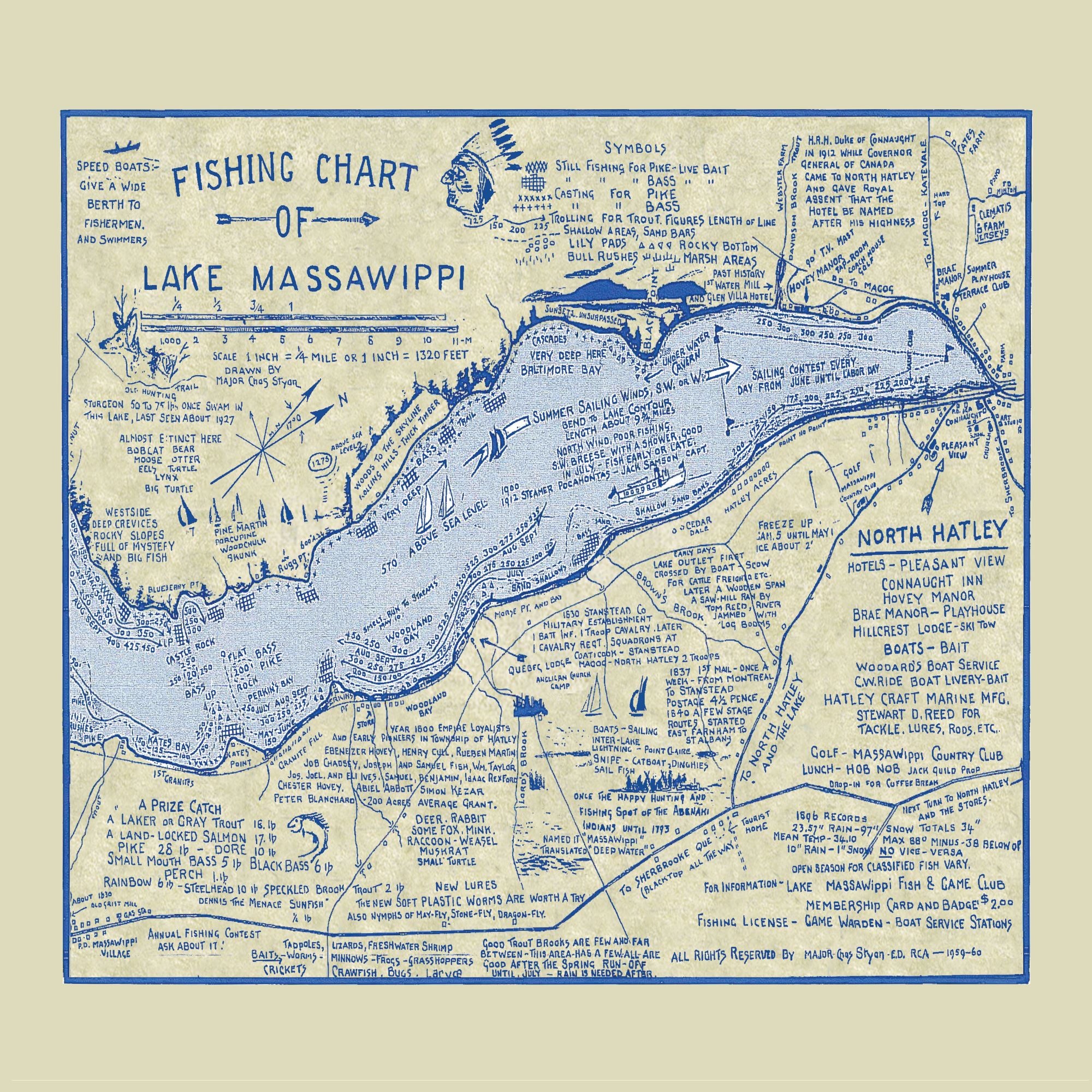 Lake Massawippi Map Dinner Napkin - set of 4